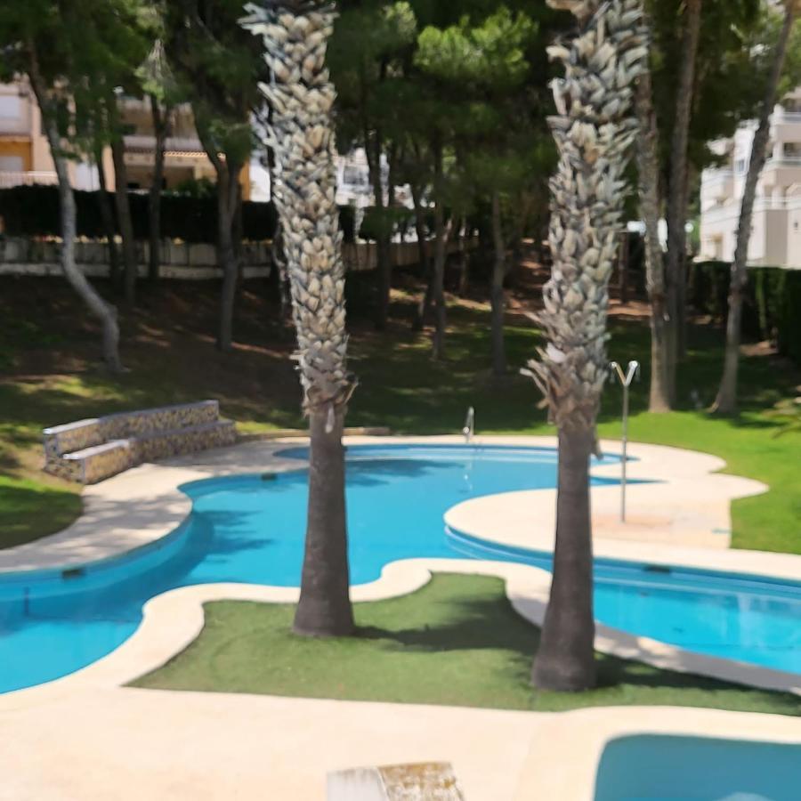 Apartamento Ines, Dehesa De Campoamor,900M From The Sea , Swimming Pool & Tennis Court Luaran gambar